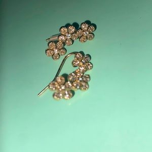 francesca's earrings